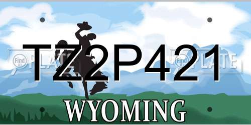 TZ2P421 Wyoming License Plate