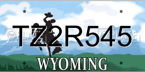 TZ2R545 Wyoming License Plate