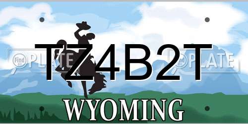 TZ4B2T Wyoming License Plate