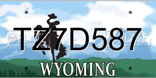 TZ7D587 Wyoming License Plate