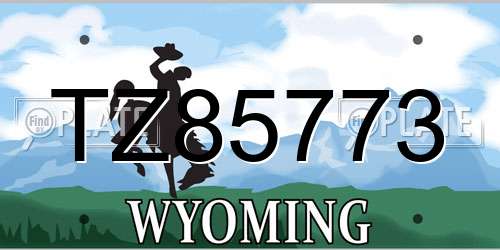 TZ85773 Wyoming License Plate