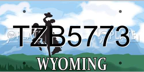TZB5773 Wyoming License Plate