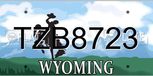 TZB8723 Wyoming License Plate