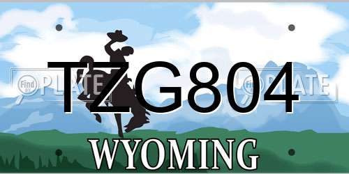 TZG804 Wyoming License Plate