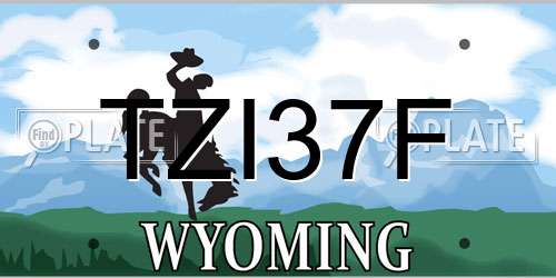 TZI37F Wyoming License Plate