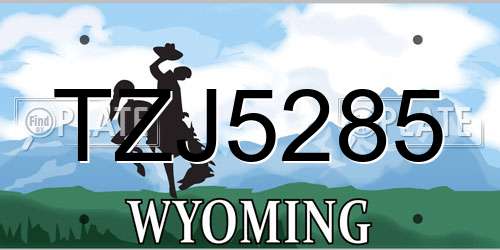 TZJ5285 Wyoming License Plate