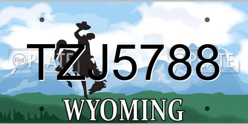 TZJ5788 Wyoming License Plate