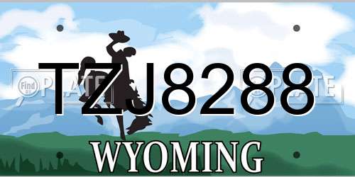 TZJ8288 Wyoming License Plate