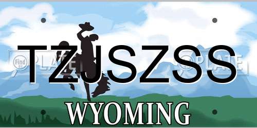 TZJSZSS Wyoming License Plate