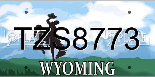 TZS8773 Wyoming License Plate