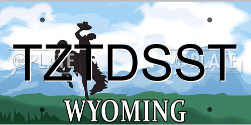 TZTDSST Wyoming License Plate