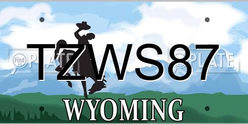 TZWS87 Wyoming License Plate