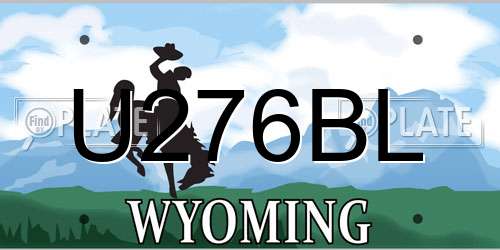 U276BL Wyoming License Plate