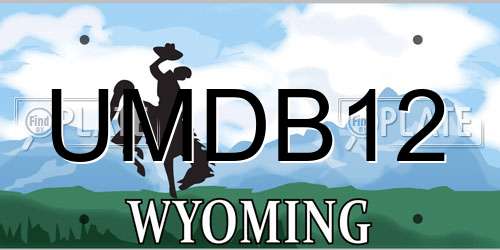 UMDB12 Wyoming License Plate