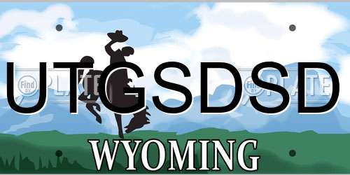 UTGSDSD Wyoming License Plate
