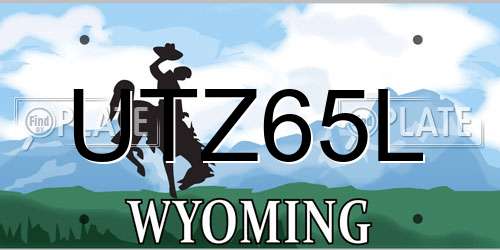 UTZ65L Wyoming License Plate