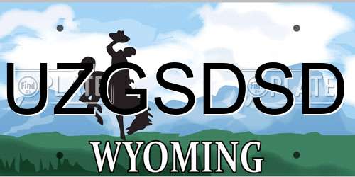 UZGSDSD Wyoming License Plate