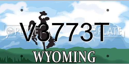 V3773T Wyoming License Plate