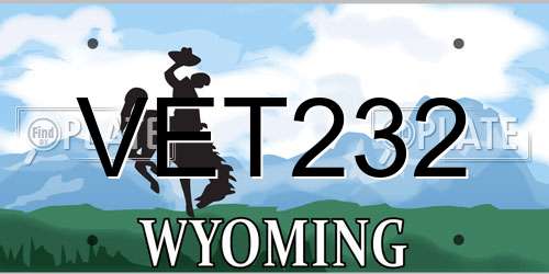 VET232 Wyoming License Plate