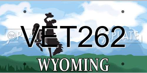 VET262 Wyoming License Plate