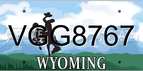 VGG8767 Wyoming License Plate