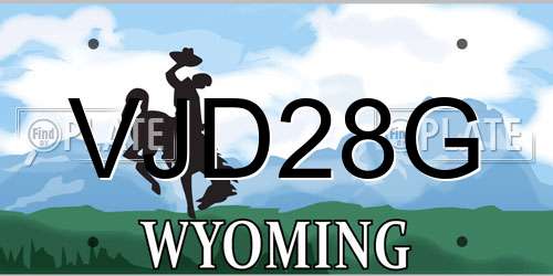 VJD28G Wyoming License Plate