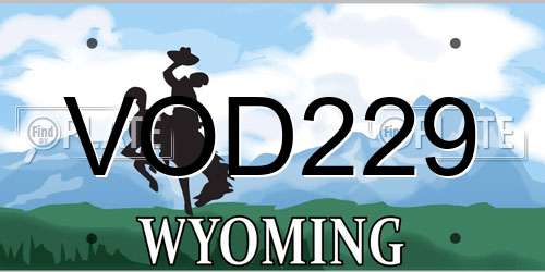 VOD229 Wyoming License Plate