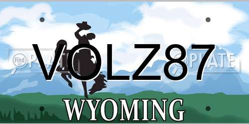 VOLZ87 Wyoming License Plate