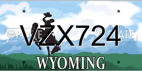 VZX724 Wyoming License Plate
