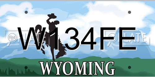 W134FE Wyoming License Plate