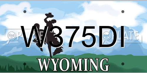 W375DI Wyoming License Plate