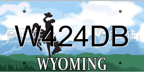 W424DB Wyoming License Plate