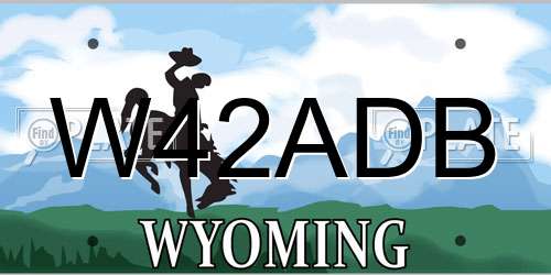 W42ADB Wyoming License Plate