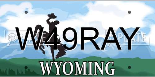 W49RAY Wyoming License Plate