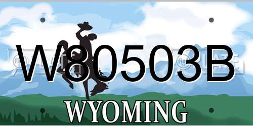 W80503B Wyoming License Plate