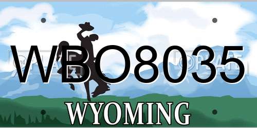 WBO8035 Wyoming License Plate