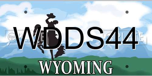 WDDS44 Wyoming License Plate