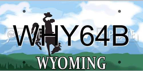 WHY64B Wyoming License Plate