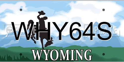WHY64S Wyoming License Plate
