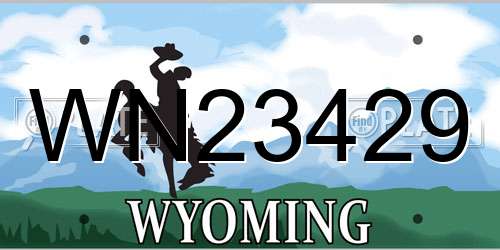 WN23429 Wyoming License Plate