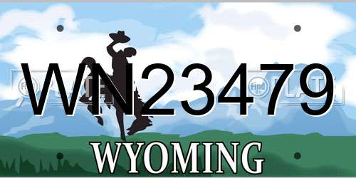 WN23479 Wyoming License Plate