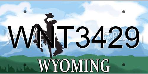 WNT3429 Wyoming License Plate