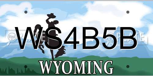WS4B5B Wyoming License Plate
