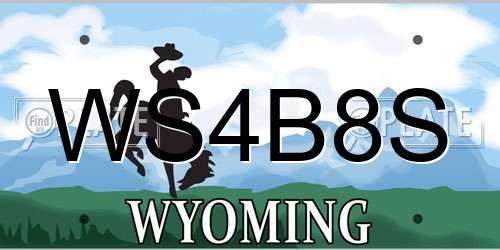 WS4B8S Wyoming License Plate