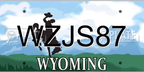WZJS87 Wyoming License Plate