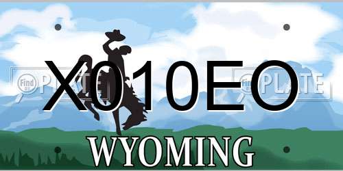 X010EO Wyoming License Plate