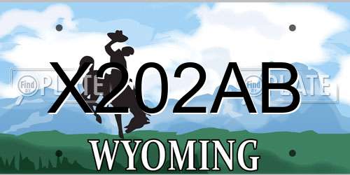 X202AB Wyoming License Plate
