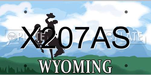 X207AS Wyoming License Plate