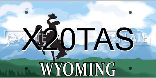 X20TAS Wyoming License Plate