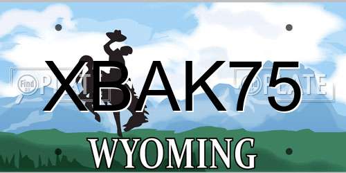 XBAK75 Wyoming License Plate